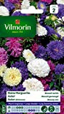 Vilmorin 5703442 Margherite, Multicolore, 90 x 2 x 160 cm
