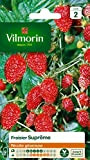 Vilmorin - Bustina semi Fragola con 4 stagioni Supremi
