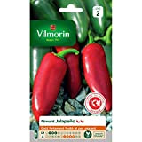 Vilmorin - Pacchetto di semi di pepe jalapeño