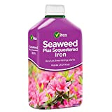 Vitax Sequestrata Inoltre Seaweed Ferro - Prodotto per correggere la carenza di Ferro nelle Piante, 1 L