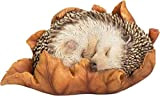 Vivid Arts Baby Hedgehog in foglia altamente dettagliata casa o giardino decorazione (XRL-HH09-F)