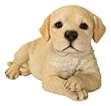 Vivid Arts Posa cucciolo Pet Pals (Golden Labrador), LP-