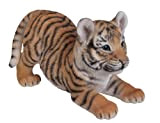 Vivid Arts Tigre giocoso Cucciolo Ornamento Resina