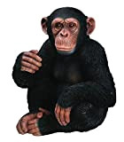 Vivid Arts XRL-CHM3-D - Scimpanzé seduto per la casa o il giardino