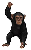 Vivid Arts XRL-CHM5-B Appeso Scimpanzé Ornamento Resina