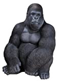 Vivid Arts XRL-GRLS-A Seduta Gorilla Ornamento Resina