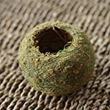 VSTAR66 5 palline di muschio bonsai, 8 cm verde uccello nido porta piante per casa ufficio scrivania tavolo giardino decorazione ...
