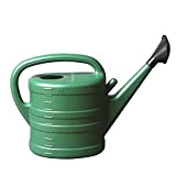 Watering kettle Annaffiatoio da 10 Litri, Colonna per Acqua nebulizzata ad Alta capacità Attrezzo da Giardinaggio per Uso Domestico a ...