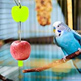 Welltobuy Porta Cibo per Uccelli Portafrutta per Animali Domestici Spiedino di Frutta di Pappagalli Mangiatoia per Polli da Compagnia Mangiatoia ...