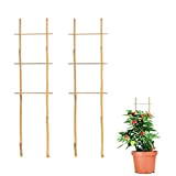 WERTSWF 2 tralicci in bambù da 50 cm a forma di scaletta per piante rampicanti, vaso da interno, vite, verdura, ...