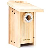 WHITEHORSE Casetta per Uccelli in Cedro Premium - Design Resistente alle intemperie - Costruito Secondo specifiche Professionali