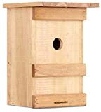Windhager Nidificazione degli Uccelli della Cassetta di nidificazione Birdy, Nido, Uccello casa, incubatore, Aiuto per la nidificazione, 06961