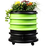 WORMbox | Vermicompostaggio 3 Vassoi Anice Verde + Fioriera per piante | 48 Litri | Compost di Rifiuti Organici Compostiera ...