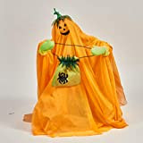 Worth Imports - Costume da zucca animata, 30 cm, colore: verde/arancione