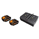 Worx WX3553.2 Batterie al Litio Power Share 20V, Set da 2 Pezzi, 4.0Ah & caricatore 20V doppio rapido da 2Ah ...