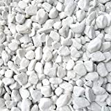 Xabian 5 kg di pietre decorative bianche 18-25 mm