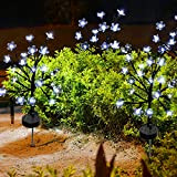 XRR Lampada Solari da Giardino, 2 Pezzi Luci Solari fiori di ciliegio, IP65 impermeabile LED Luci Solari da esterni, per ...