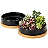 Yangbaga vasi da fiori con piattino, 2 pezzi in ceramica nera per piante grasse, vaso decorativo vasi per piante grasse ...