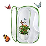 Yeelan Butterfly Habitat Pieghevole Catcher Net Mesh Insetti Gabbia vegetale Terrario Pop-up per bambini/Bambino/Grilli del bambino/Lucciola/bruchi etc(verde, taglia grande) 