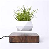 YFY Levitating Plant Plant Pot Floating Air Bonsai Pot Suspension Flower Pot Planter per la Decorazione della scrivania (Color : ...