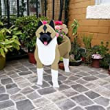 YTYWD Fioriera per Cani,Cartoon Pet Dog Flower Pot Vaso di Fiori,Decorazione Artistica per Patio Esterno da Giardino Interno (American Akita ...