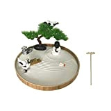 Zen Garden - Kit da giardino con sabbia Zen per scrivania con rastrello di sabbia, kit da giardino Zen in ...