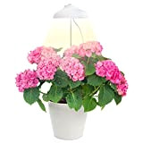 ZENAKIO Lampada per Piante Grow LED Regolabile, Timer Automatico, 5V, Bianco - Lampada LED Piante Indoor - Grow Light per ...