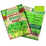 ZenGreens® - Semi di crescione biologici (75 g) in qualità Premium - Semi di crescione germogliati - Tasso di germinazione ...