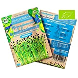 ZenGreens® - Semi di erba cipollina biologici (20g) in qualità Premium - Semi di erba cipollina perenni con tasso di ...