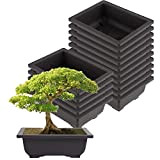 ZEONHEI 15 vasi da allenamento grandi per bonsai, 22,5 x 16,5 x 7,5 cm, in plastica, per giardino, cortile, soggiorno, ...