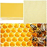Zerodis 30Pcs Beekeeping Bees Foundation Sheet Bee Hive Frame Strumento per estrattore di Miele