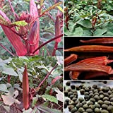 ZHOUBAA Semi per la semina, 100 pz/sacchetto Semi di gombo rosso croccanti semi di ortaggi di Abelmoschus perenni per azienda ...