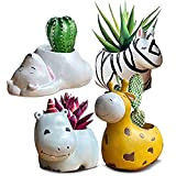 Zoo - Set di 4 vasi per piante da interni, motivo: giraffa ippopotamo, zebre, orso polare per piante grasse, regalo ...