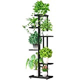 ZZBIQS Supporto per piante in metallo, a 6 livelli, con più supporti per vasi, organizzatore per piante per angolo interno ...
