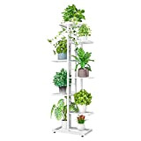 ZZBIQS Supporto per piante in metallo, a 7 livelli, con più supporti per vasi, organizzatore per piante per angolo interno ...